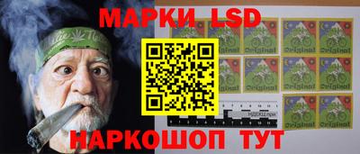 индика Дубна