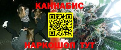 индика Дубна