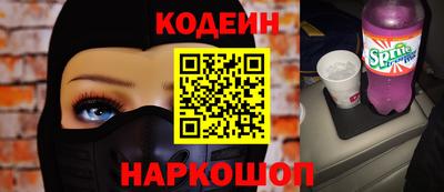 индика Дубна