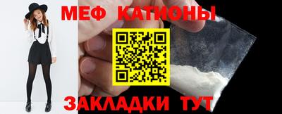 индика Дубна